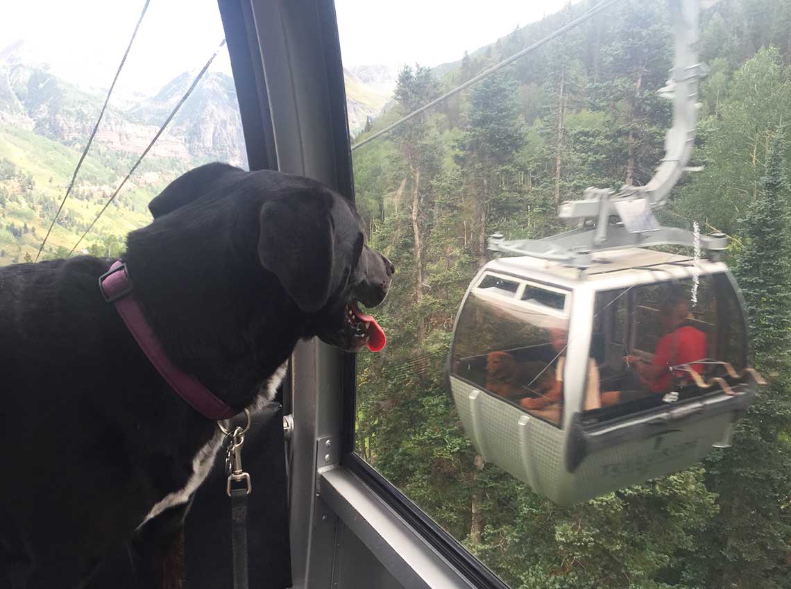 Maddie in Telluride