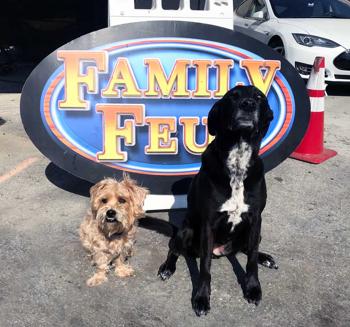 Maddie and Louie in front of the stage