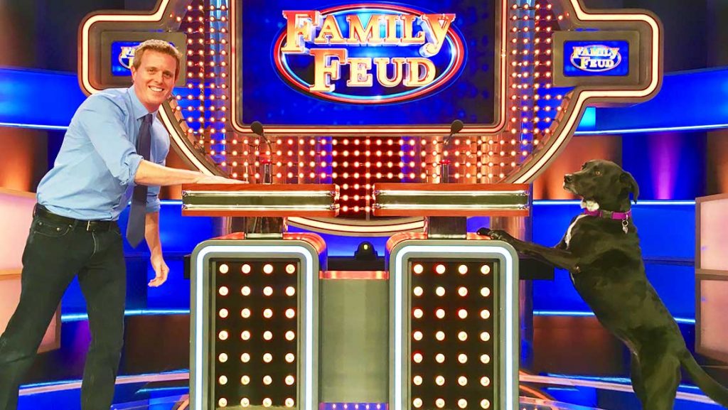 Madeline Hawley: Family Feud's Chief Canine Officer